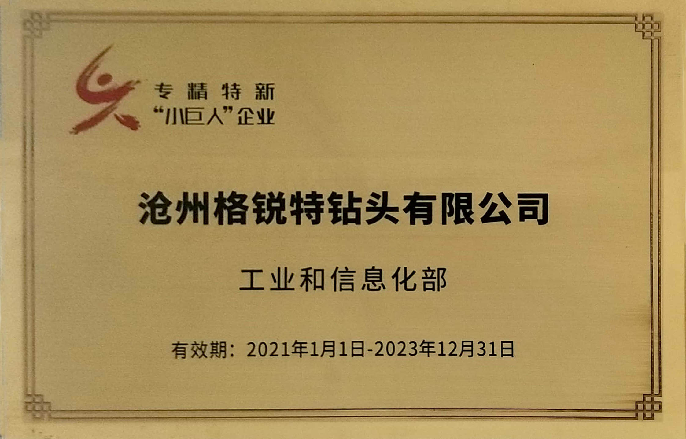 專精特新“小(xiǎo)巨人(rén)”企業(yè)