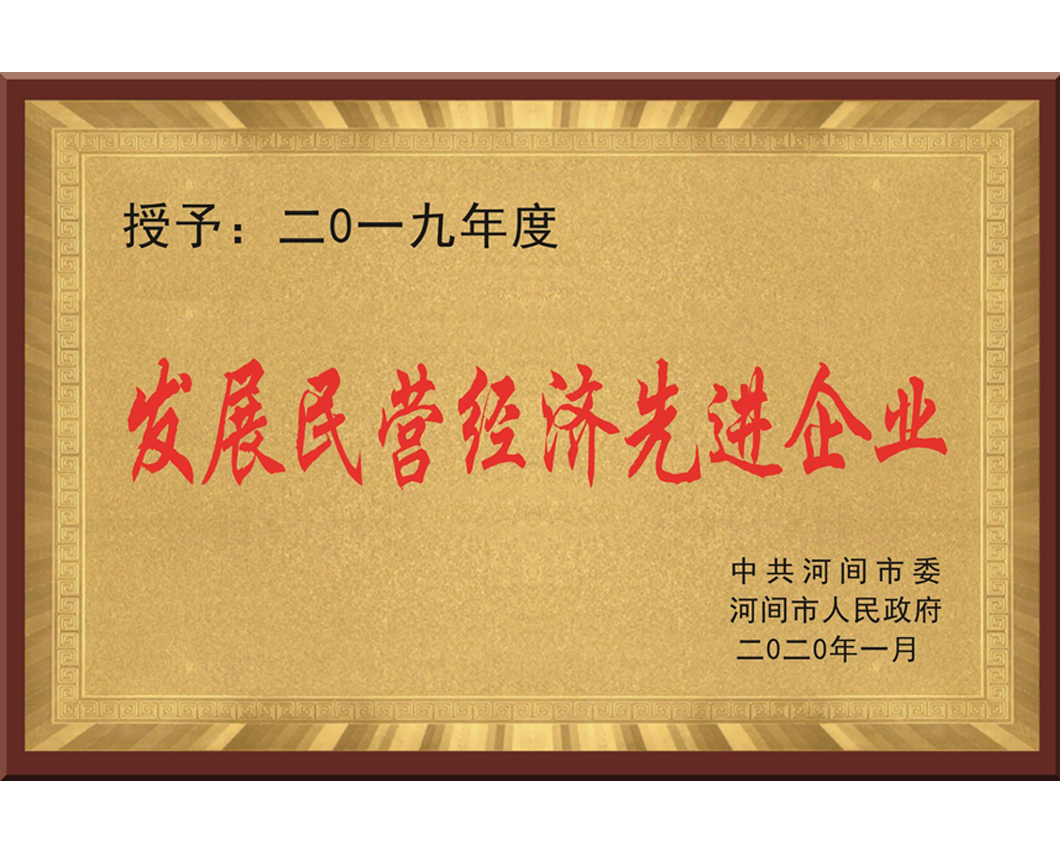 發展民(mín)營經濟先進企業(yè)